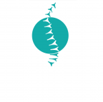 Ostéopathe Paris Olympiades