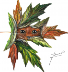 LA PETITE FERME DES 3 6 9 à Tourves 83